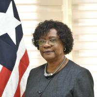 Deputy Minister of Foreign Affairs